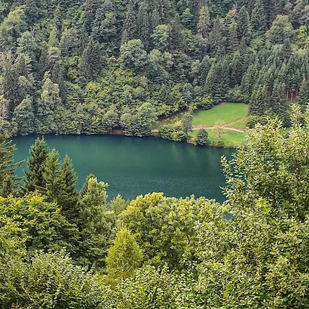 Mit Terrasse * Afritz